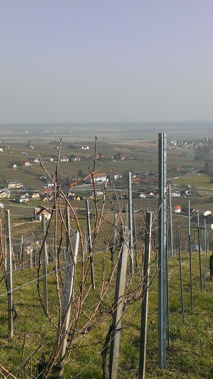 Kellerstoeckl Kamper Eisenberg an der Pinka Exterior foto