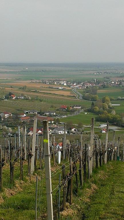 Kellerstoeckl Kamper Eisenberg an der Pinka Exterior foto