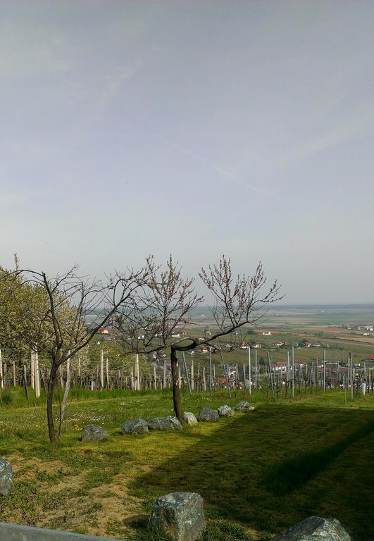 Kellerstoeckl Kamper Eisenberg an der Pinka Exterior foto